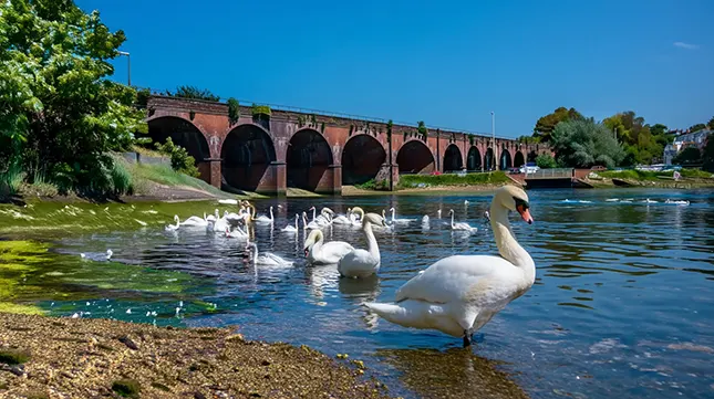 4. Fareham - Coastal appeal with commuter benefits