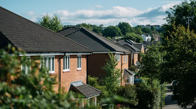 1. Are They Familiar with Guernsey’s Housing and Residency Rules