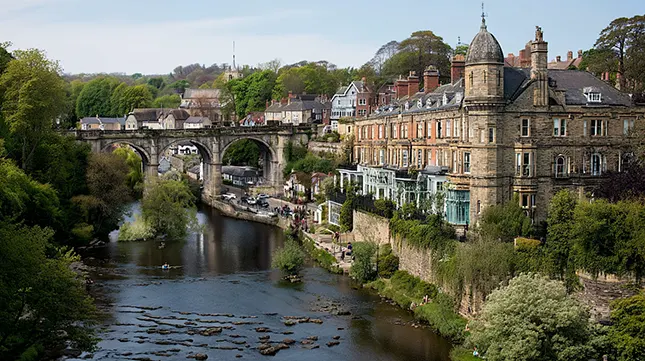 10. What Local Knowledge Do They Have