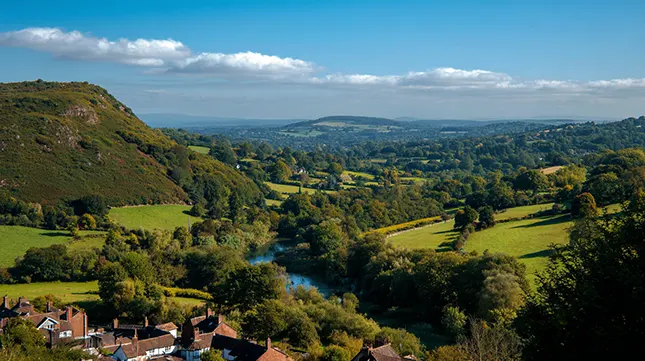 8. Do They Know the Local Area