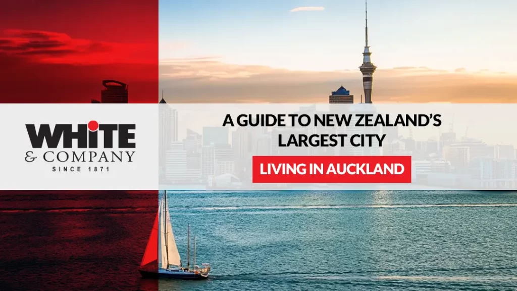 Living in Auckland A Guide to New Zealand’s Largest City