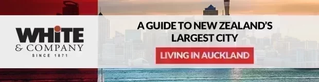 Living in Auckland: A Guide to New Zealand’s Largest City