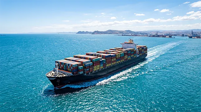 Moving Your Belongings to Dubai Customs, Shipping and Restricted Goods