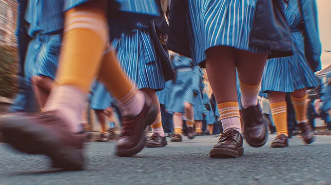 Schools and Education