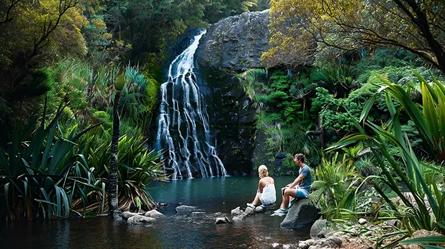 Things to Do in and Around Auckland