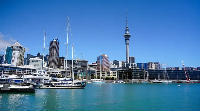 Understanding Auckland’s Layout and Lifestyle