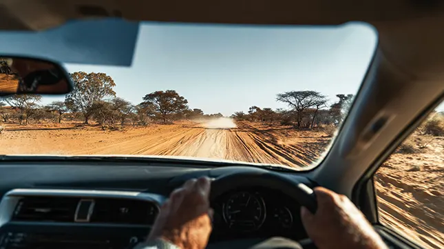 Driving in Namibia What New Residents Should Know