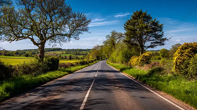 Distance Matters Local Moves vs Long-Distance Relocations