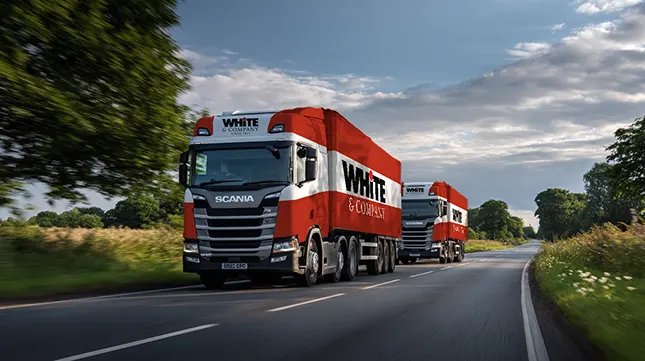 Supporting Fleet Efficiency Through Electric Vehicle Integration