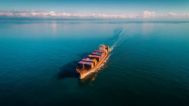 Transport Options for European Removals