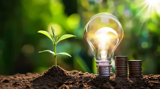 What Is the Energy Savings Opportunity Scheme