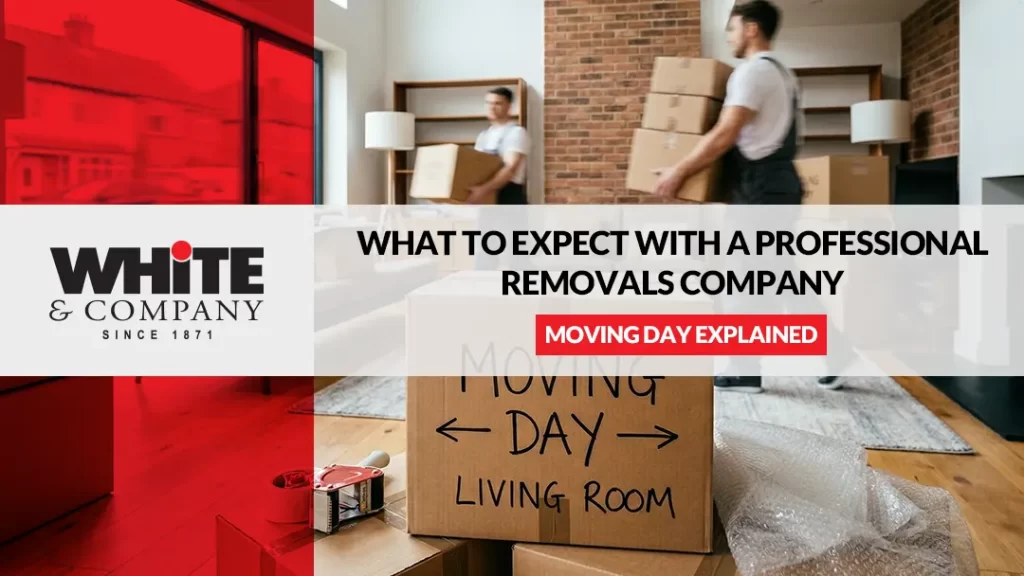 Moving Day Explained What to Expect with a Professional Removals Company