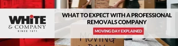 Moving Day Explained: What to Expect with a Professional Removals Company