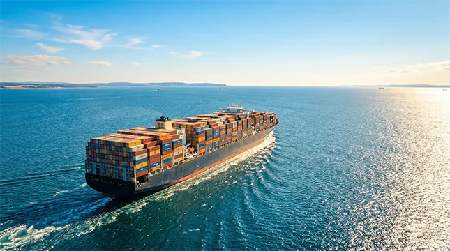 Summer Moves Beyond Borders Going Long Distance or Overseas