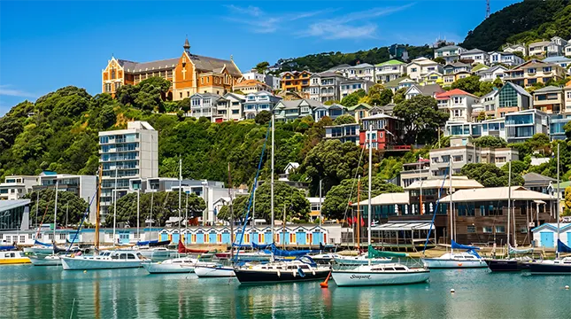 Wellington, for Culture and Character