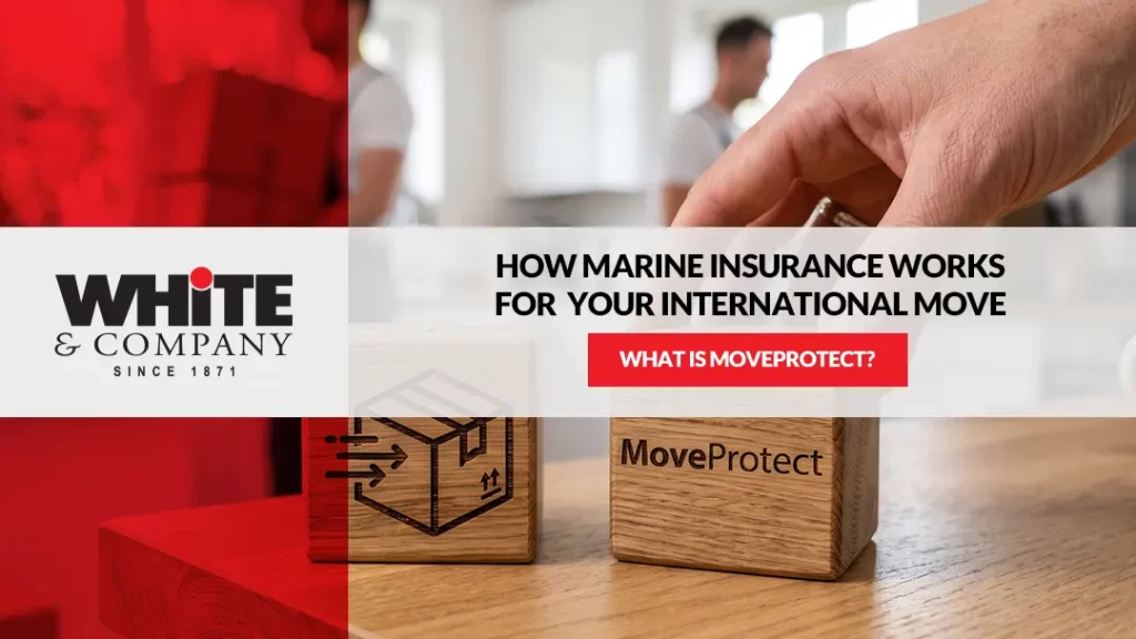 What is MoveProtect? How Marine Insurance Works for Your International Move