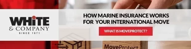 What is MoveProtect? How Marine Insurance Works for Your International Move