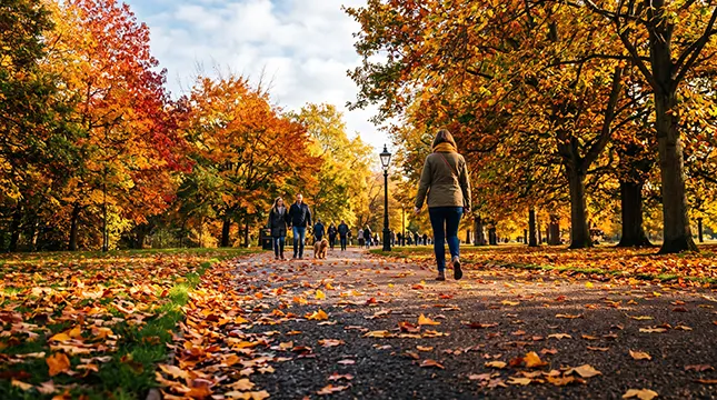 Why Autumn Is Traditionally a Strong Season to Move