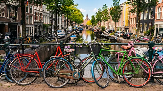 Why UK Professionals Keep Choosing the Netherlands